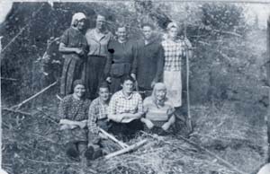 Фото № 17.   Заготовка сена. 1955 год.